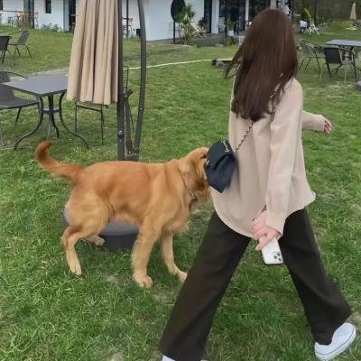 时间之子