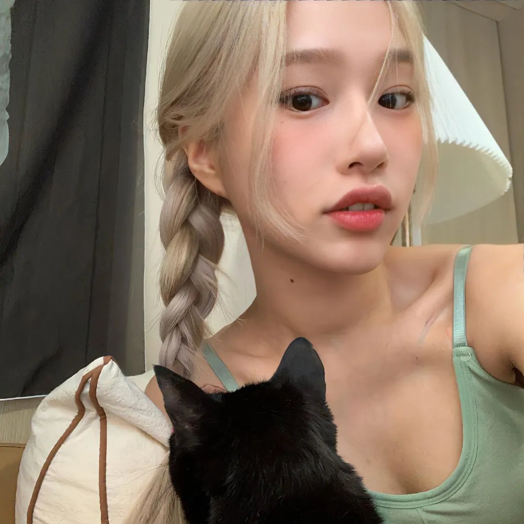 爱犬情深